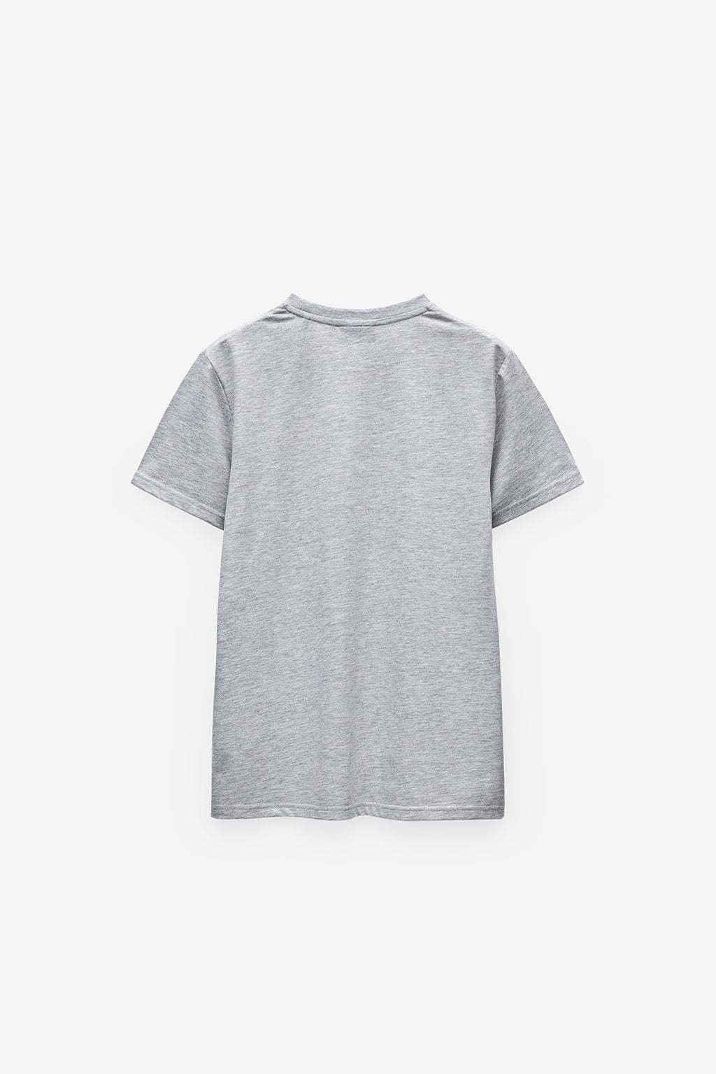 CAMISETA CON INSIGNIA