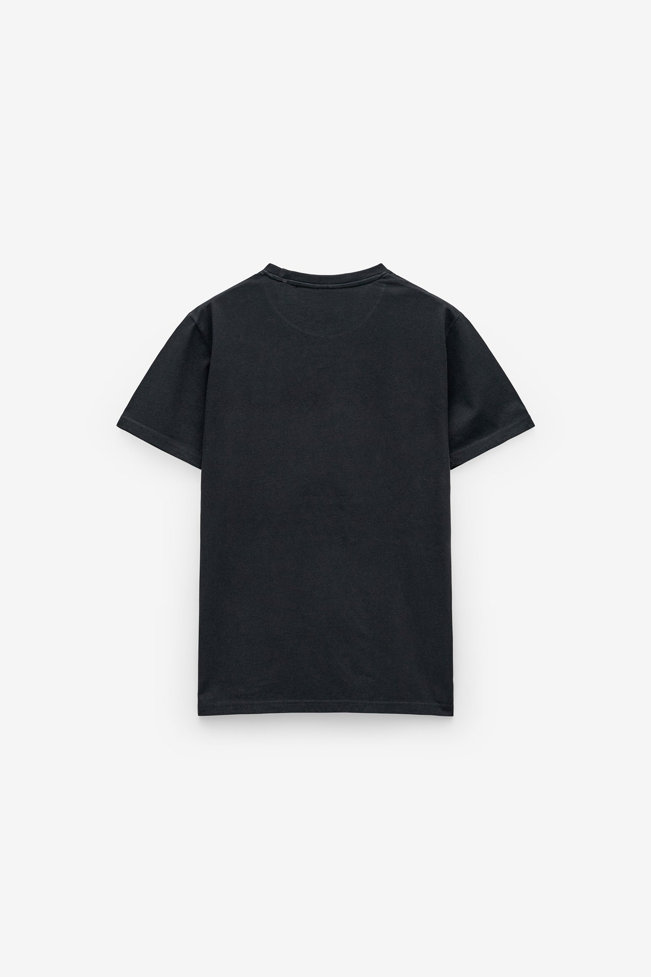 CAMISETA CON INSIGNIA