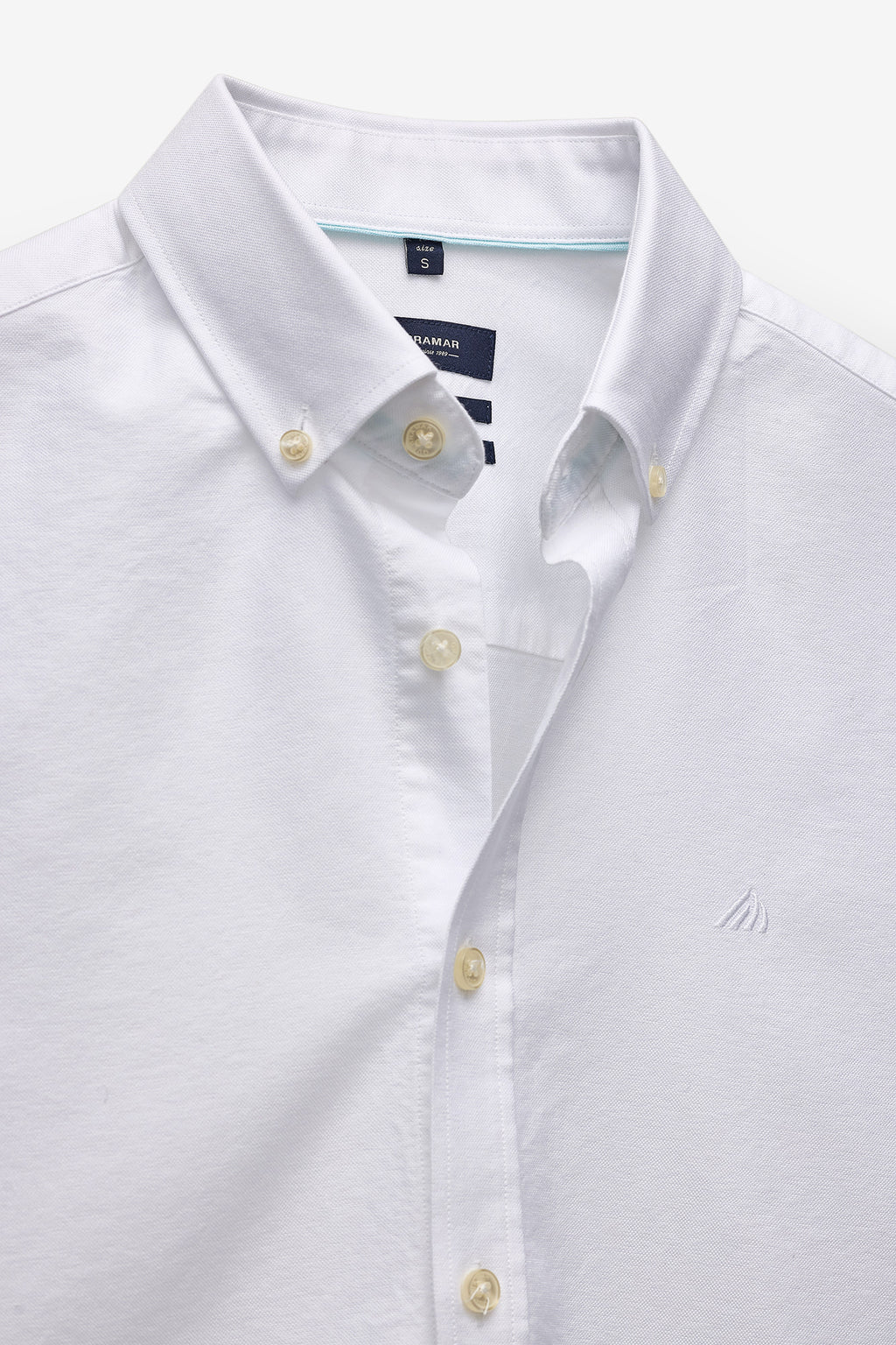 CAMISA BÁSICA OXFORD REGULAR FIT
