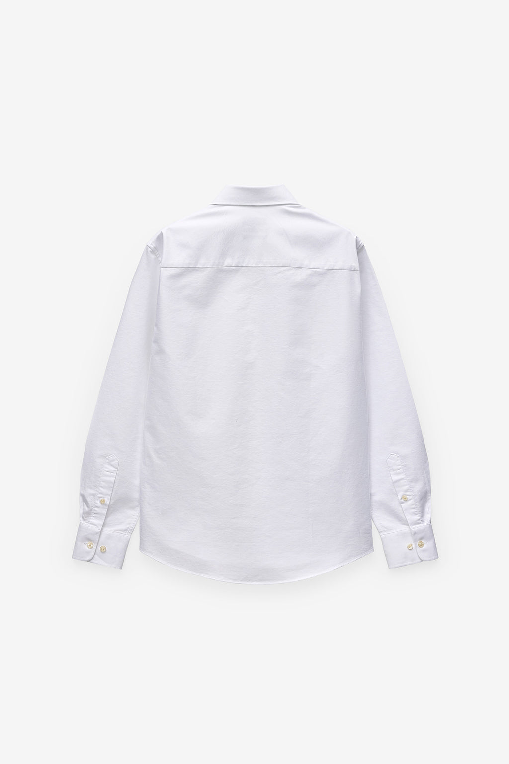 CAMISA BÁSICA OXFORD REGULAR FIT