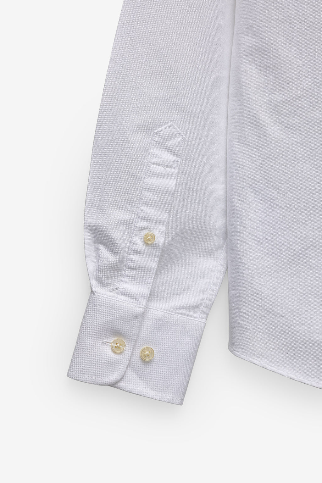 CAMISA BÁSICA OXFORD REGULAR FIT