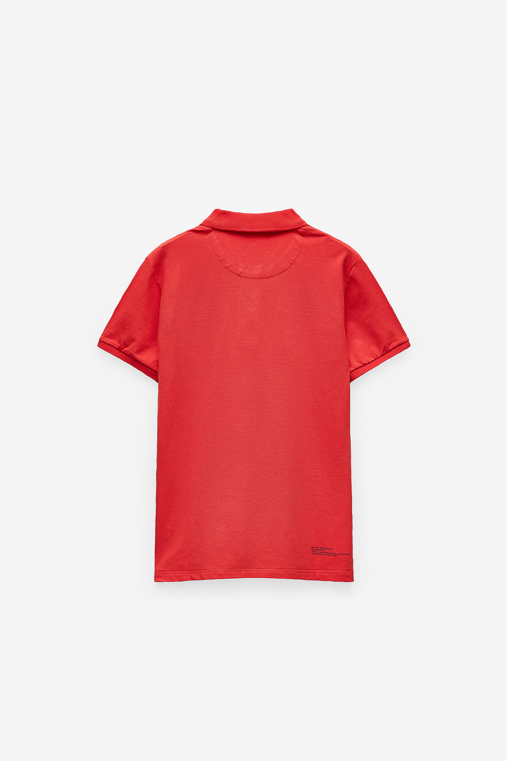 POLO EM MICRO PIQUET