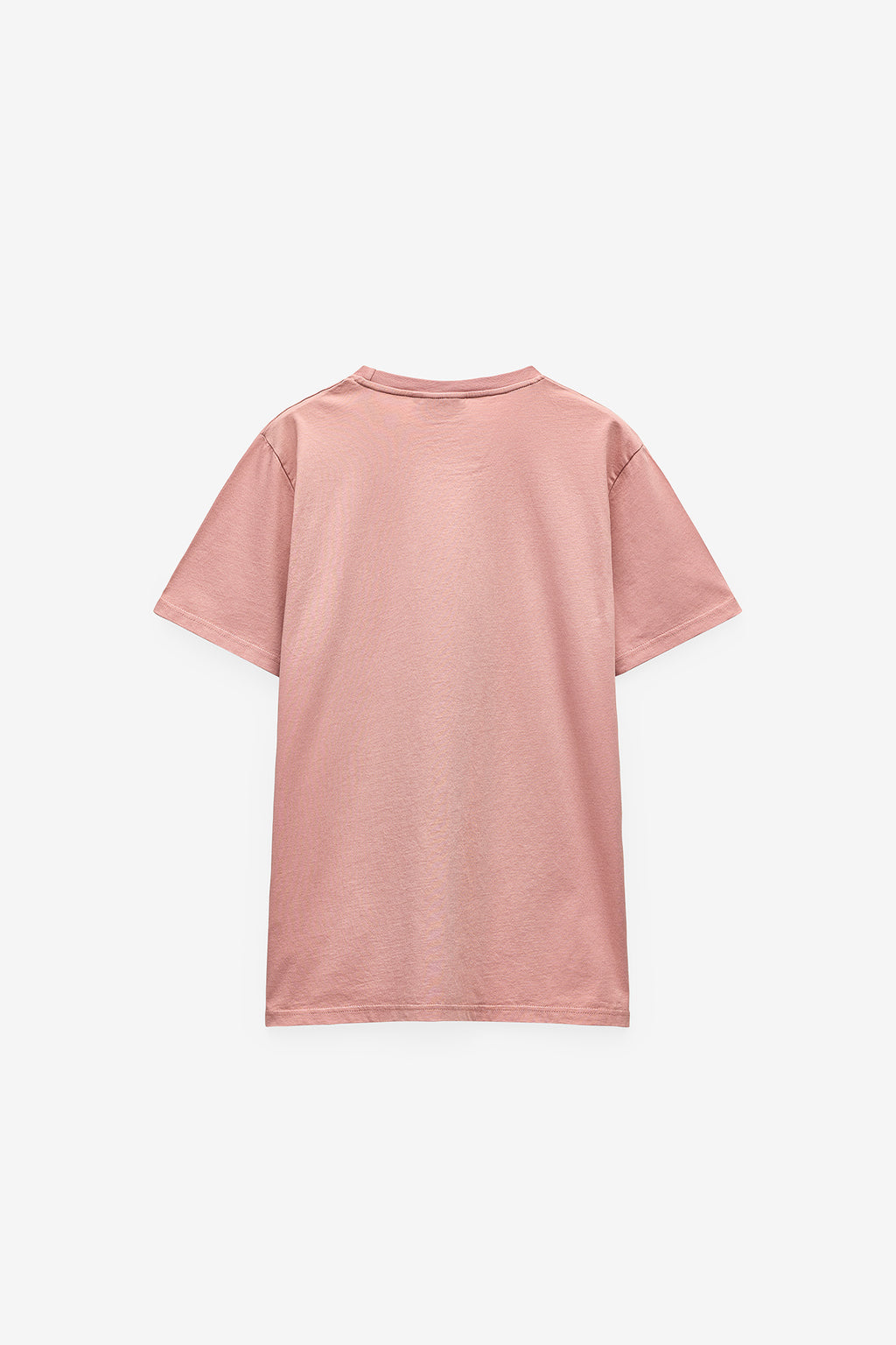 CAMISETA ESTAMPADA SAILING DEPT