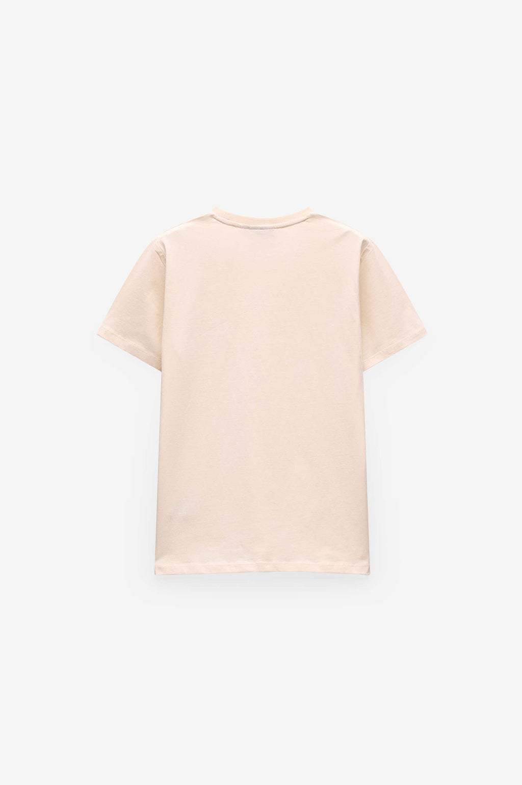 ESTAMPADO CAMISETA PALMEIRA