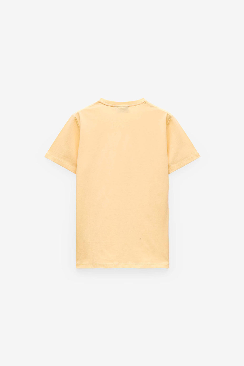 CAMISETA ESTAMPADA PALMERA