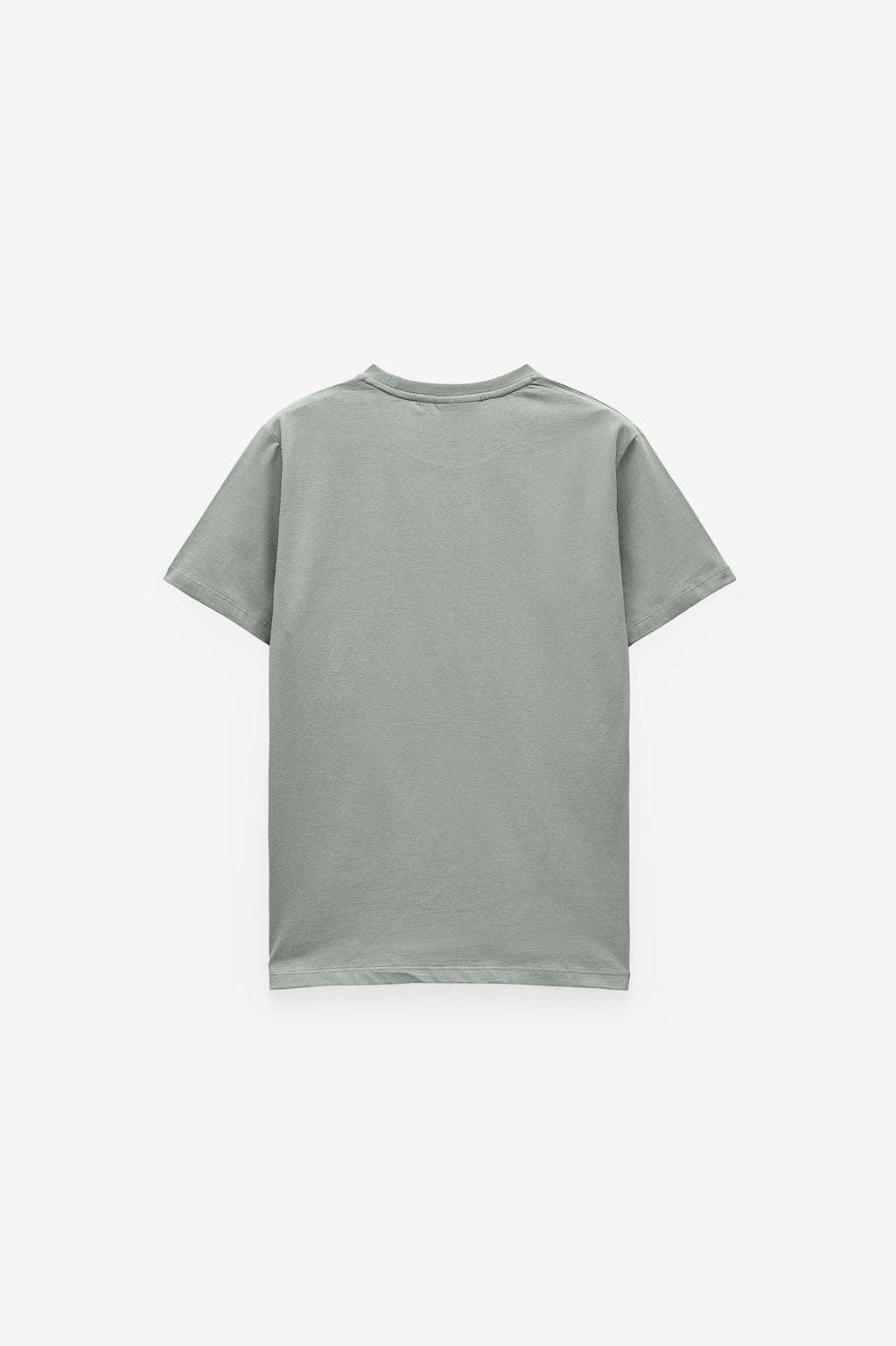 T-SHIRT PRINT PALMEIRA