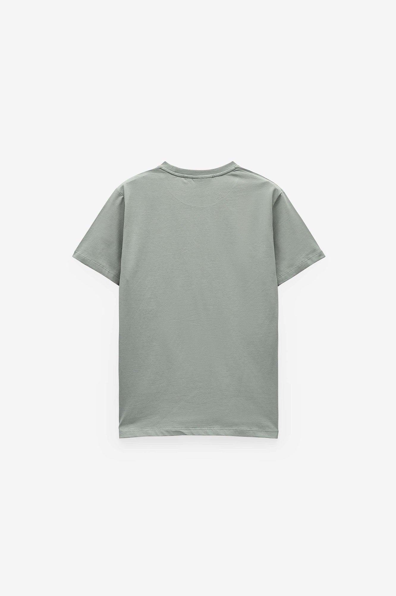 T-SHIRT PRINT PALMEIRA