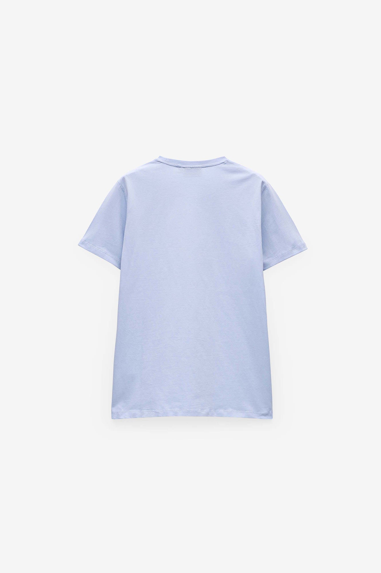 T-SHIRT PRINT PALMEIRA