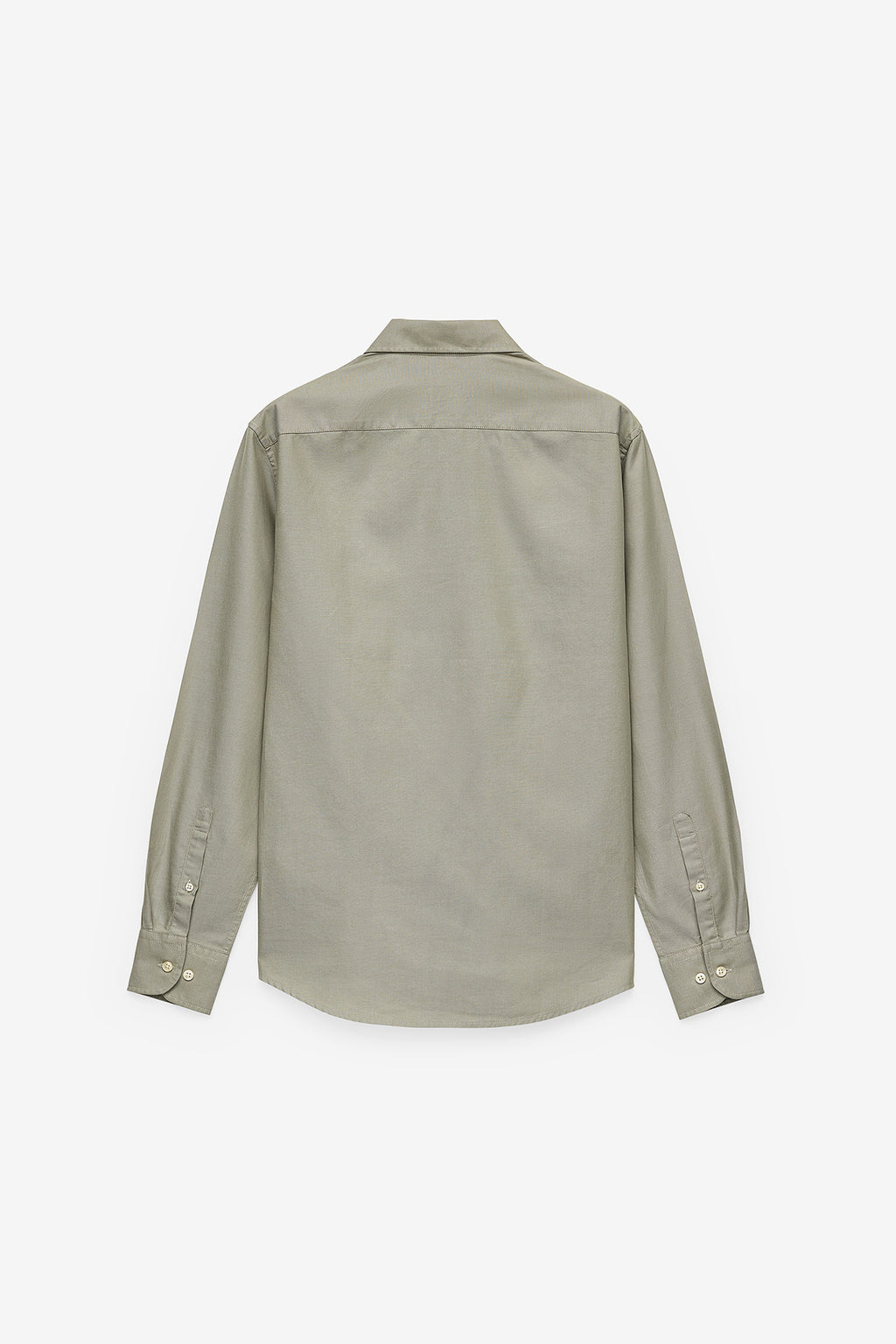 CAMISA BÁSICA REGULAR FIT