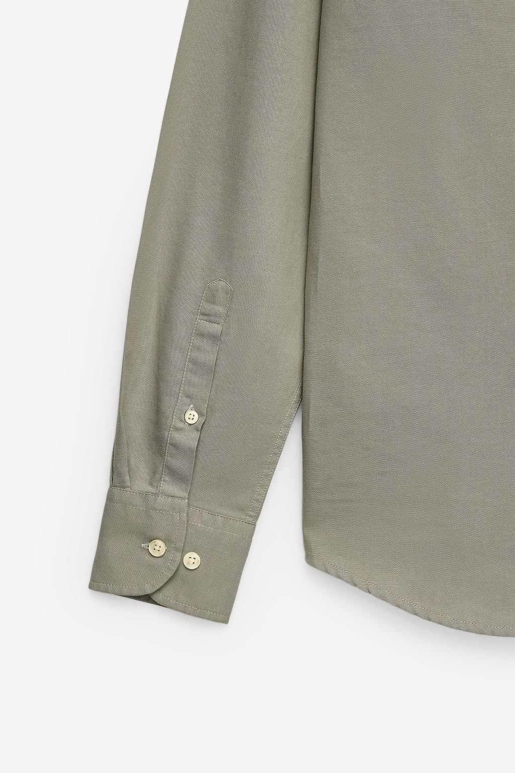 CAMISA BÁSICA REGULAR FIT